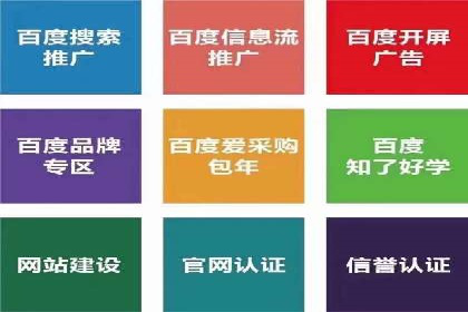 某品牌抖音信息流广告的投放过程与效果评估